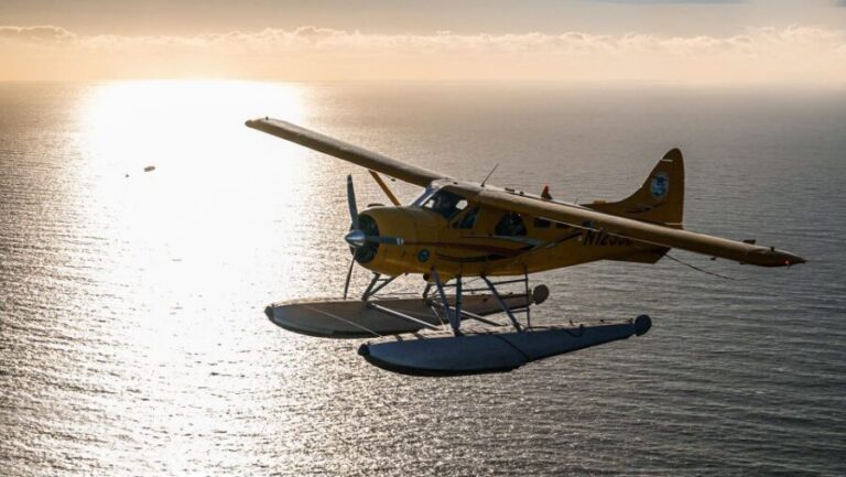 San Francisco: Seaplane Flight with Champagne - Champagne Time: Moet Chandon and the Under-20 Switch