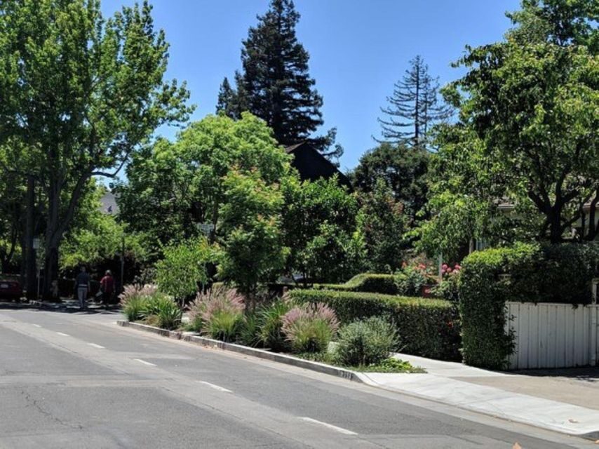 San Francisco: Silicon Valley Private Tour with Transfers - How Your Guide Turns Stops Into Meaning (Pat and Pep Are Part of the Pattern)