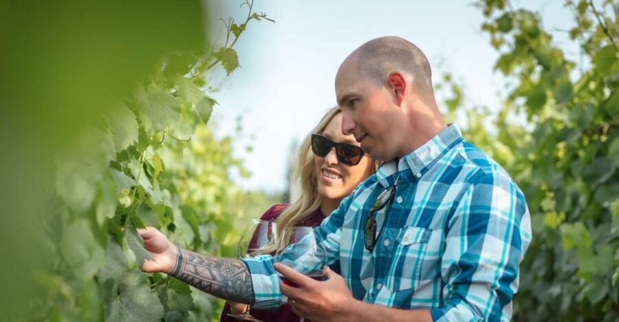 San Francisco: Sonoma Wine Country Tour with Tastings - Key points before you go