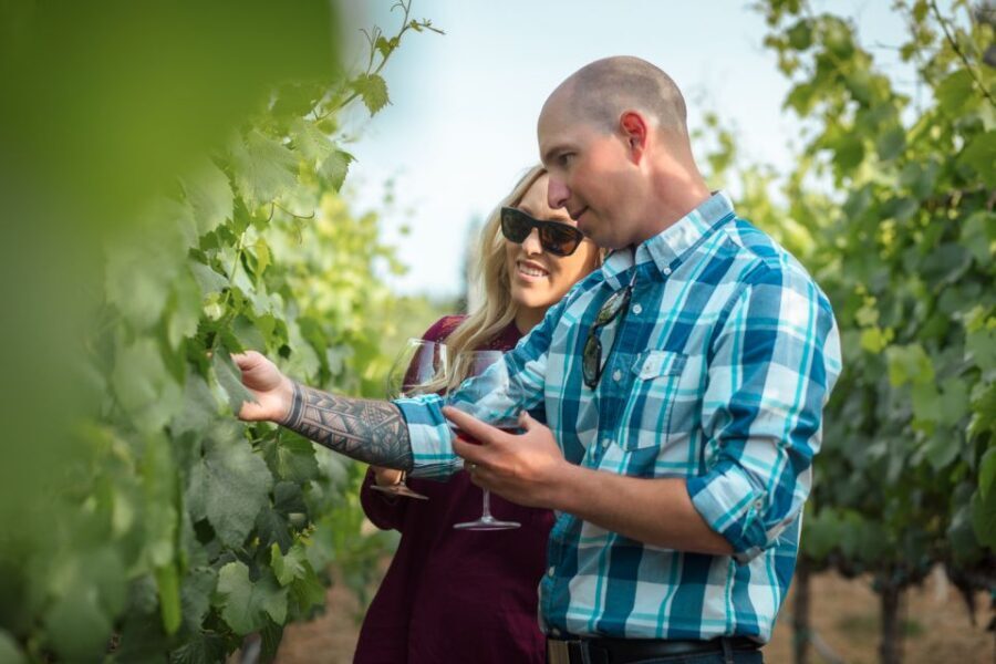 San Francisco: Sonoma Wine Country Tour with Tastings - The value in a small-group Sonoma day