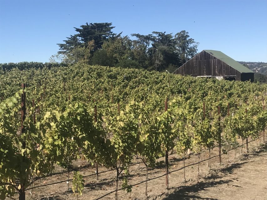 San Francisco: Sonoma Wine Country Tour with Tastings - Practical tips so you stay comfortable (and don’t miss anything)