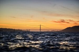 San Francisco Sunset Cruise - Pier 39, sea lions, and the first wave of Bay energy