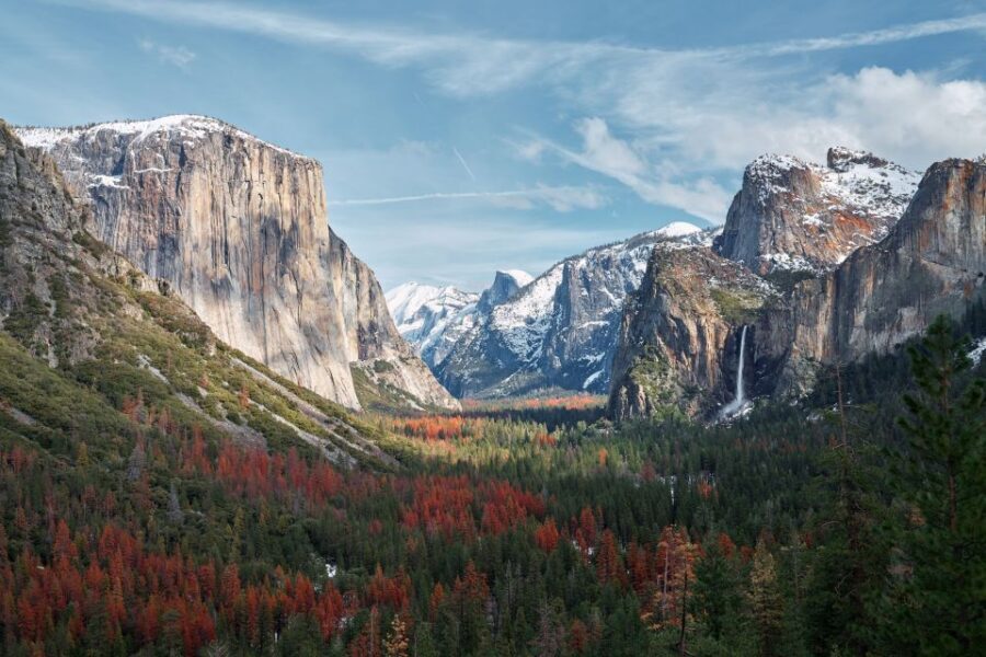 San Francisco to/from Yosemite National Park: 1-Way Transfer - Tuolumne Giant Sequoia Grove option and the winter safety swap