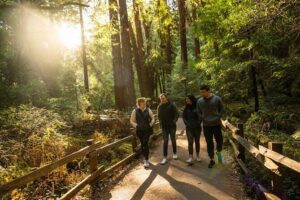 San Francisco to Muir Woods Shuttle - The city warm-up: sea lions, chowder vibes, and Bay views