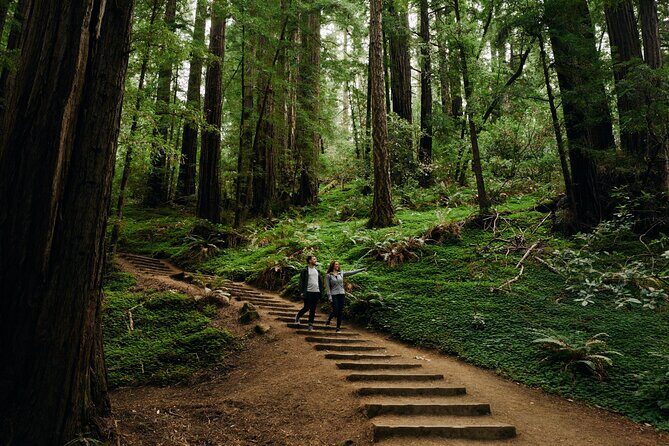 San Francisco to Muir Woods Shuttle - Fort Point: the quickest way to get the iconic bridge angle