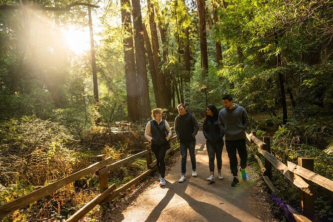 San Francisco to Muir Woods Shuttle - The city warm-up: sea lions, chowder vibes, and Bay views
