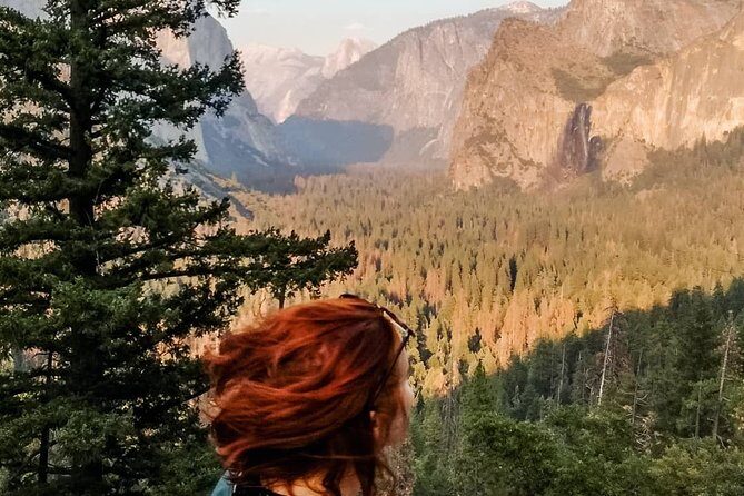 San Francisco to Yosemite One-Way Transfer - Giant sequoias, if conditions allow