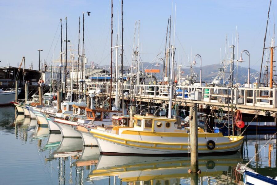 San Francisco Ultimate City Tour with Bay Cruise Option - Twin Peaks: The Hilltop Panoramas That Can Turn the Day