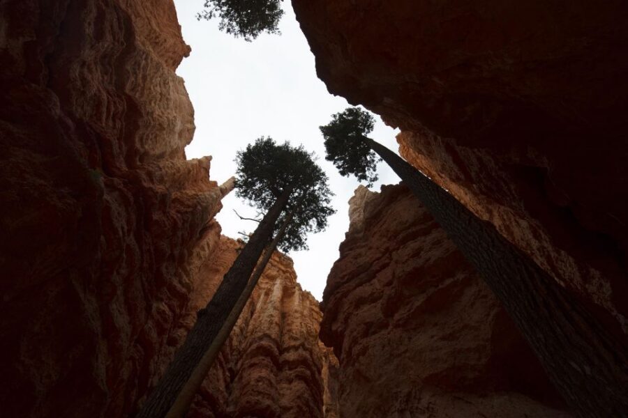 San Francisco: Yosemite, Las Vegas, Bryce & Zion, 6-Day Tour - Antelope Canyon Slots and Bryce Hoodoos at Sunset