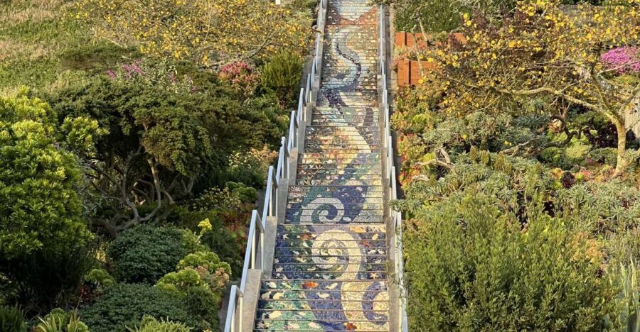 San Francisco's Wild Side, Ecotour With Meteorologist - How This 150-Minute San Francisco Ecotour Feels in Real Life