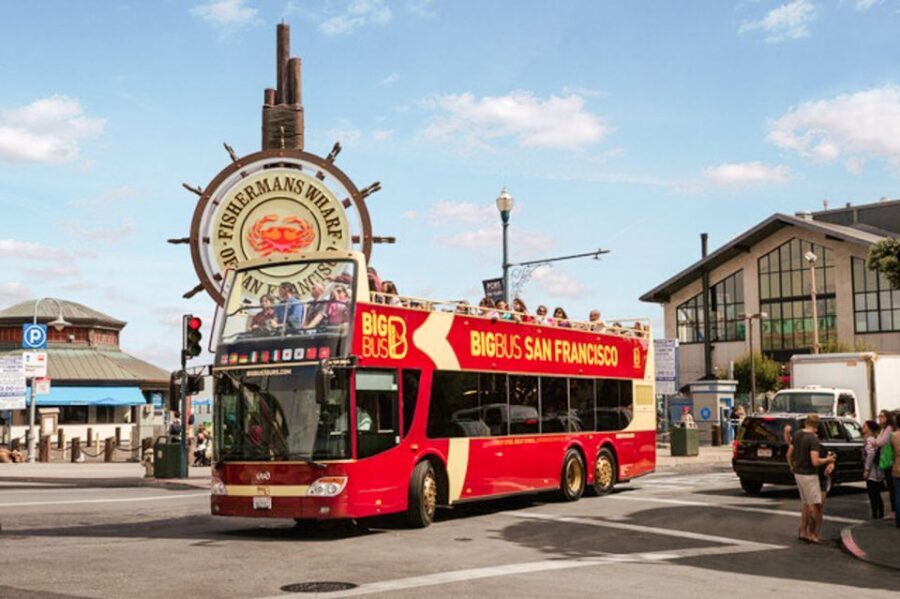 SF: Golden Gate Cruise & Hop-On Hop-Off Bus Tour (Save 15%) - Key points to know before you go