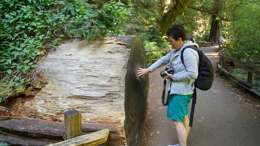 SF: Guided Muir Woods Tour & Hop-On Hop-Off Tour (Save 15%) - Why this Muir Woods + Big Bus bundle is set up for a full day