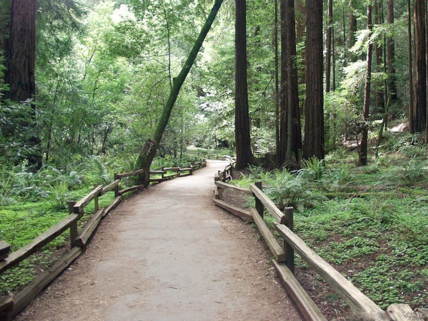 SF: Guided Muir Woods Tour & Hop-On Hop-Off Tour (Save 15%) - Should you book this Muir Woods + Big Bus combo?