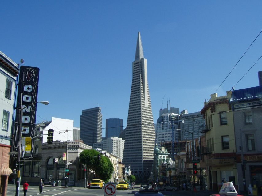 SF: Guided Muir Woods Tour & Hop-On Hop-Off Tour (Save 15%) - From Fisherman’s Wharf to Muir Woods: the Golden Gate drive that sets the mood