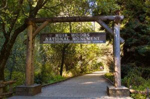 SF: Muir Woods, Sausalito, Golden Gate Bridge Private Tour - Muir Woods National Monument: breathing easy under redwoods