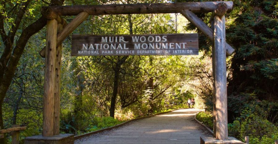 SF: Muir Woods, Sausalito, Golden Gate Bridge Private Tour - The guide/driver factor: why the experience feels personal