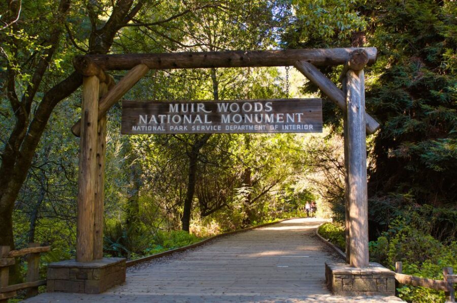 SF: Muir Woods, Sausalito, Golden Gate Bridge Private Tour - Muir Woods National Monument: breathing easy under redwoods