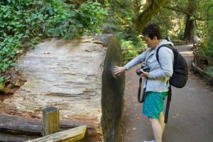 Shore Excursion from SF: Guided Tour to Muir Woods and Sausalito - Sausalito Boardwalk: Seaside Views and a Mediterranean-Like Feel