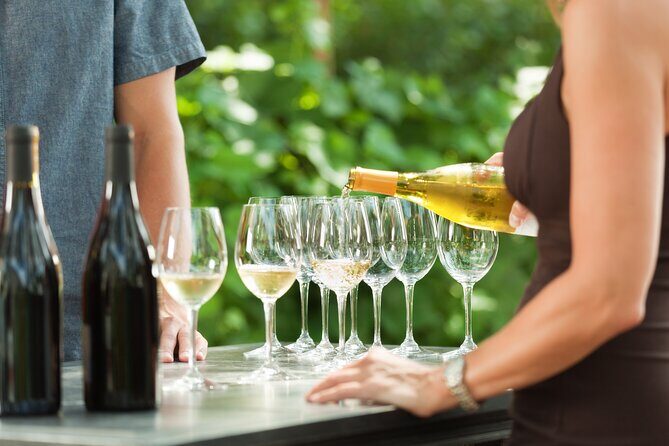 Small-Group Giant Redwoods and Russian River Wine Country Trip - Key things to know