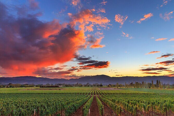 Small-Group Giant Redwoods and Russian River Wine Country Trip - A 10-hour plan that feels full, not rushed