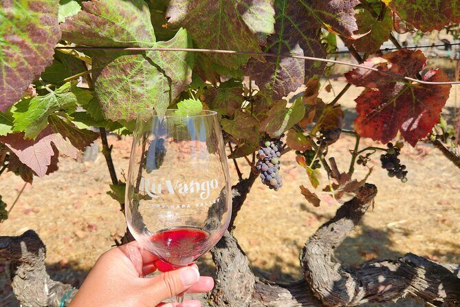 Small Group Napa and Sonoma Full-Day Wine Tour from San Francisco - Sonoma Valley stop: a calm start with real tastings