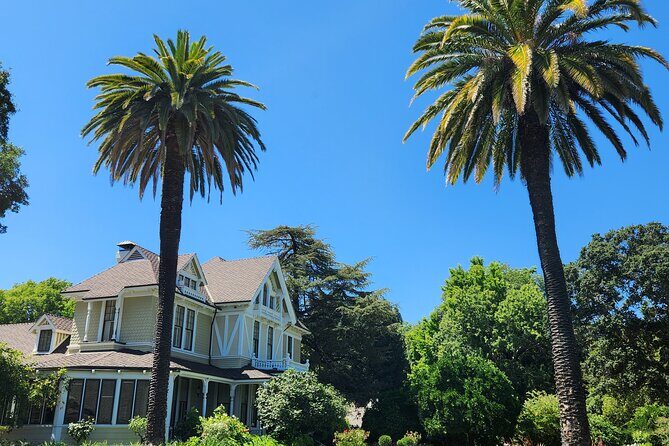 Small Group Napa and Sonoma Half-Day Wine Tour from San Francisco - Wine and Value: What the Price Buys You (and What It Doesn’t)