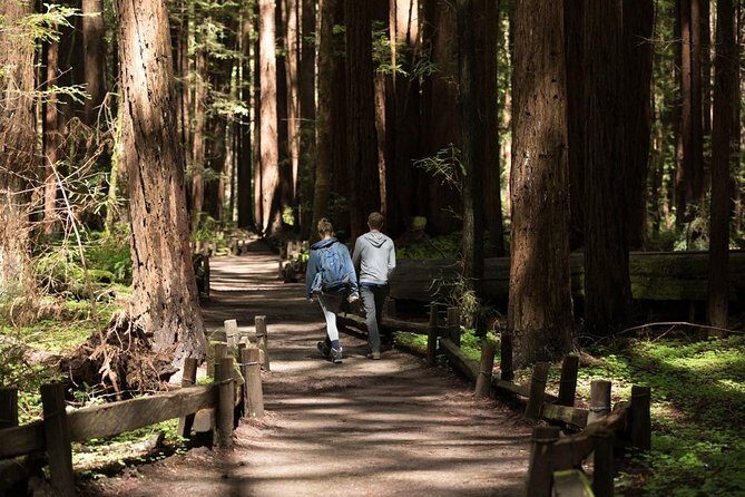 Small Group Redwoods, California Coast & Sausalito Day Trip from San Francisco - The Birds Stop in Bodega Bay: Quick Film-Spotting, Big Character