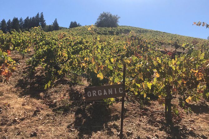 Small-Group Wine Country Tour from San Francisco with Tastings - Extra Tasting Time and How the Day Stays Fun