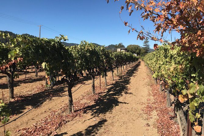 Small-Group Wine Country Tour from San Francisco with Tastings - Value for $179: Where the Money Actually Goes