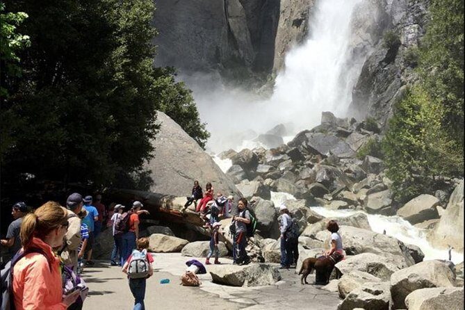 Small Group Yosemite and Giant Sequoias Day Trip from San Francisco - The minibus experience: small group pace, comfort details, and photo strategy