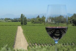 Sonoma Wine Tour with 2 Tastings Included Small-Group Half Day - Golden Gate Bridge stop: quick photos, big first impression