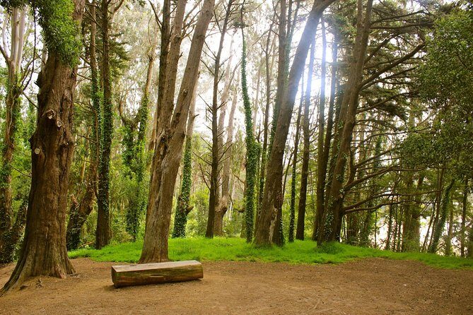 The Presidio: Main Post to the Golden Gate Bridge - Golden Gate Bridge Welcome Center: a final look with the right framing