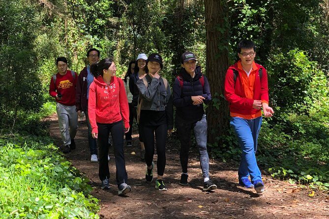 The Presidio: Main Post to the Golden Gate Bridge - Who this hiking tour fits best