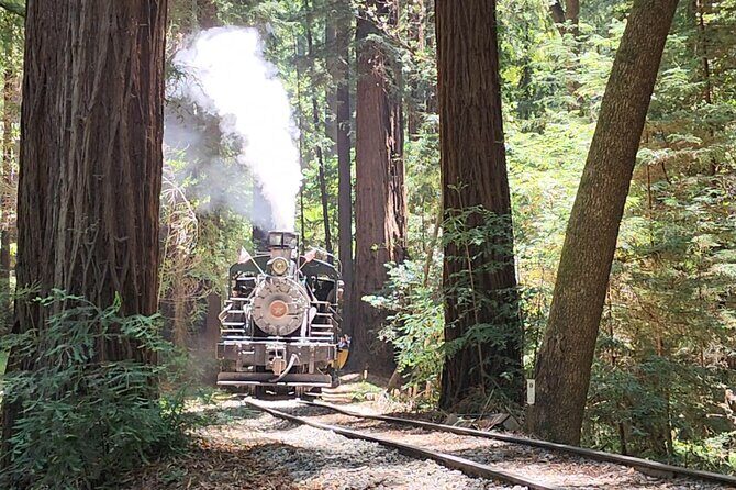 Train Ride Adventure through Mother Natures Giant Redwoods Park - From Powell Street to Highway 1 views