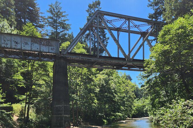 Train Ride Adventure through Mother Natures Giant Redwoods Park - Price and value: does $249 make sense for your day?