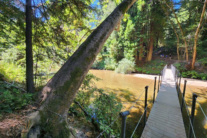 Train Ride Adventure through Mother Natures Giant Redwoods Park - Who this redwoods steam train ride is best for