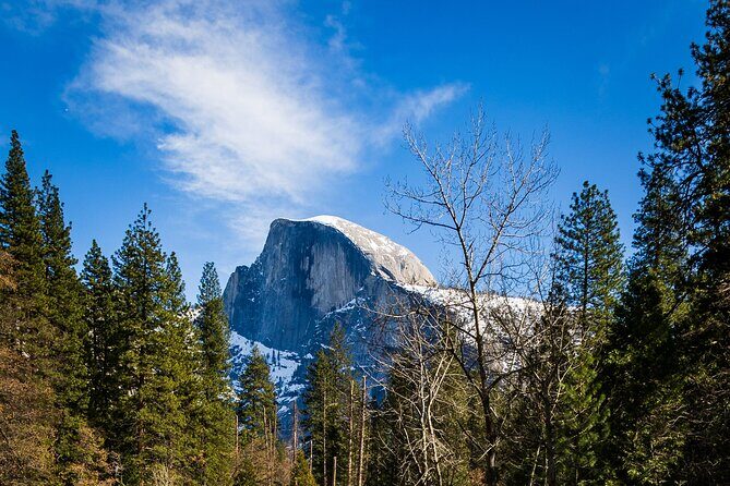 Yosemite Adventure: Full-Day Private Tour from San Francisco - Who this tour suits best
