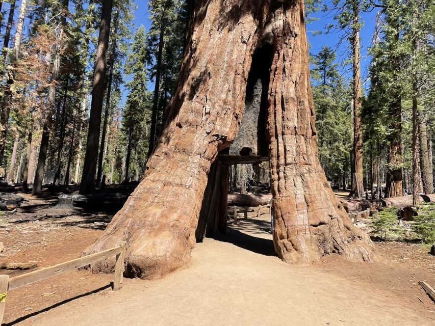 Yosemite, Giant Sequoias, Private Tour from San Francisco - Glacier Point: The Big Picture View You’ll Remember