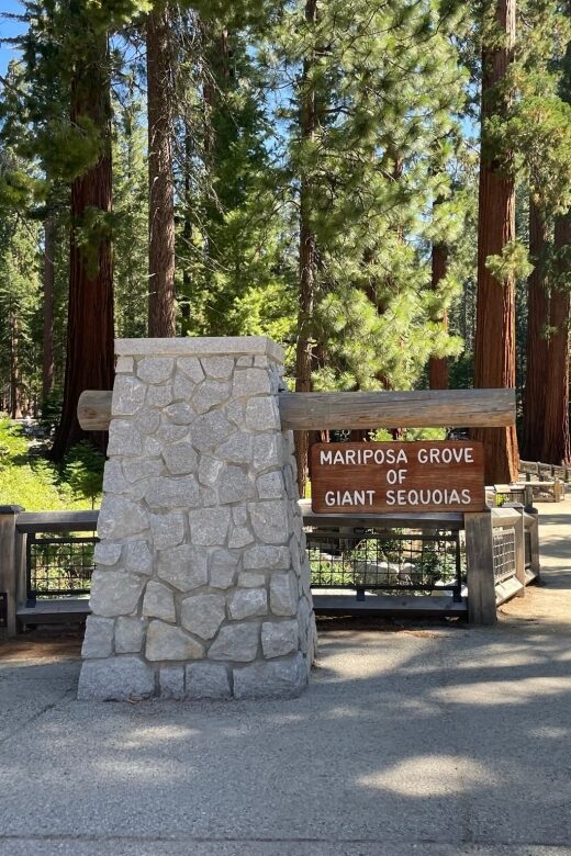 Yosemite, Giant Sequoias, Private Tour from San Francisco - From Your San Francisco Door Into Yosemite’s Main Attractions