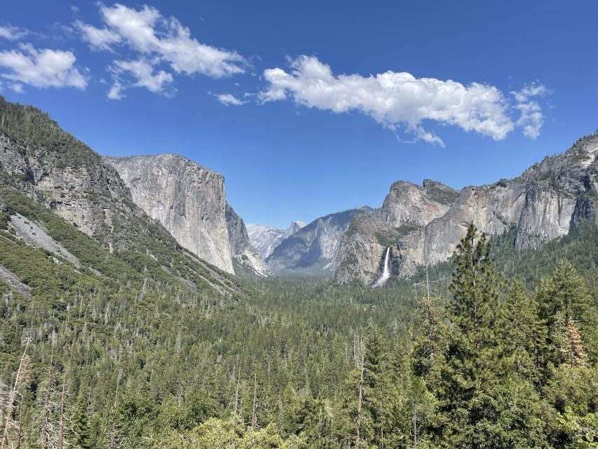 Yosemite, Giant Sequoias, Private Tour from San Francisco - Swinging Bridge Picnic Area Over the Merced River
