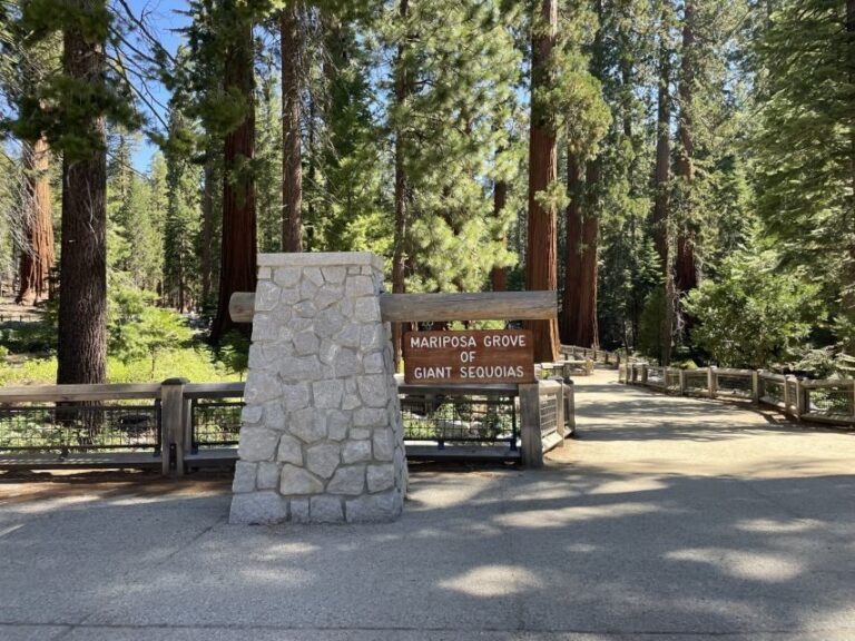 Yosemite, Giant Sequoias, Private Tour from San Francisco - Tuolumne Grove Trailhead and the Giant Sequoias Walk