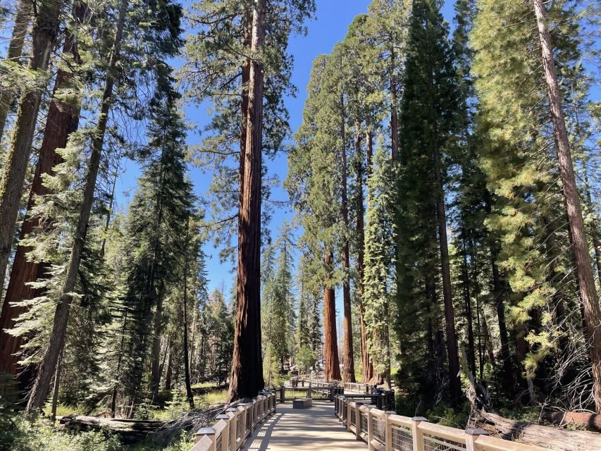 Yosemite, Giant Sequoias, Private Tour from San Francisco - Yosemite Village and The Ahwahnee: Break Time With Meaning