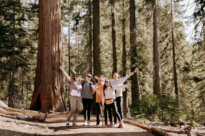 Yosemite National Park & Giant Sequoias 2-Day Semi-Guided Tour - Yosemite Valley: the two-day “greatest hits” plan