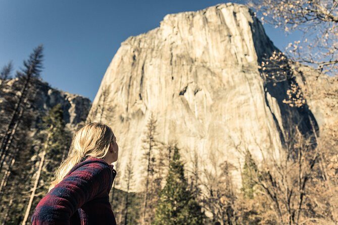 Yosemite National Park & Giant Sequoias 2-Day Semi-Guided Tour - Yosemite Falls, the Visitor Center, and your best use of time