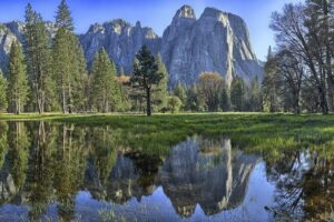 Yosemite National Park - One Way Trip - Price and the fees that can change your real total