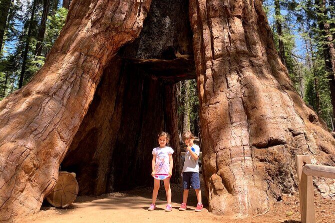 Yosemite Private Tour from San Francisco - Yosemite from San Francisco, without the stress