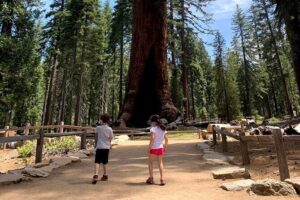 Yosemite Private Tour from San Francisco - 6:00 am pickup: how the day starts and why it matters