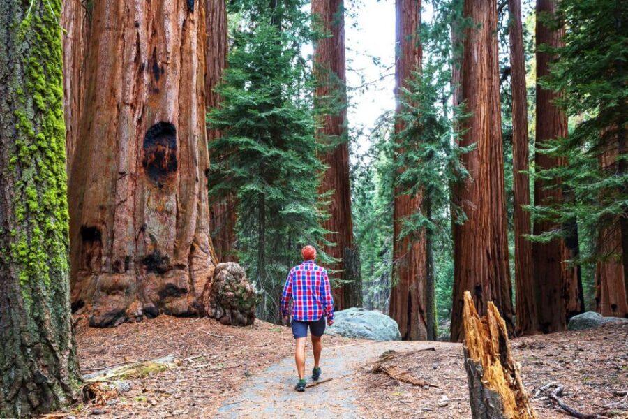 Yosemite Valley 3-Day Camping Adventure - Guides matter: what the best ones do on this trip
